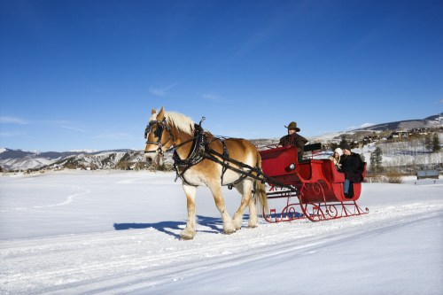 A horse-drawn sleigh on a snowy landscape, with a driver and a passenger enjoying the winter scenery.