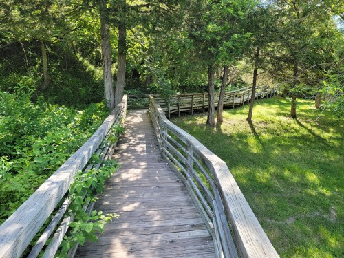 A wooden boardwalk winds through lush greenery and trees in a serene outdoor setting.