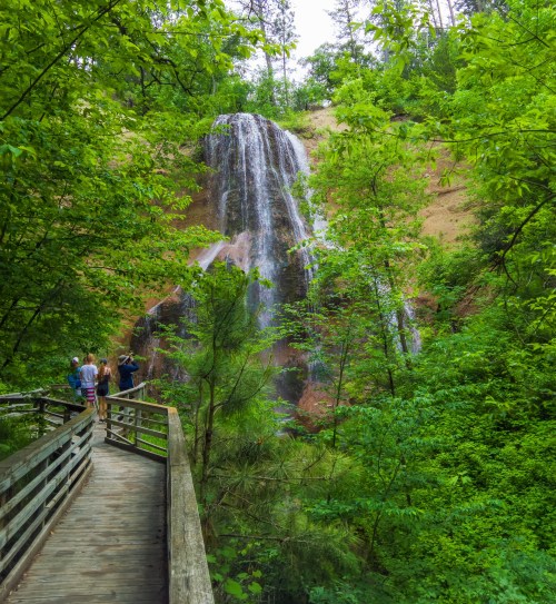 A wooden walkway leads to a waterfall surrounded by lush green trees and visitors admiring the view.
