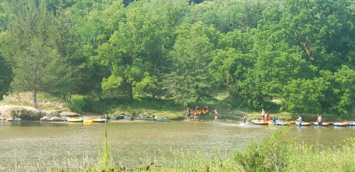 A sunny river scene with people kayaking and swimming, surrounded by lush green trees and a sandy bank.