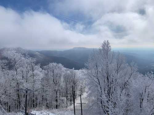 A snowy landscape with frosted trees, mountains in the distance, and a cloudy sky.