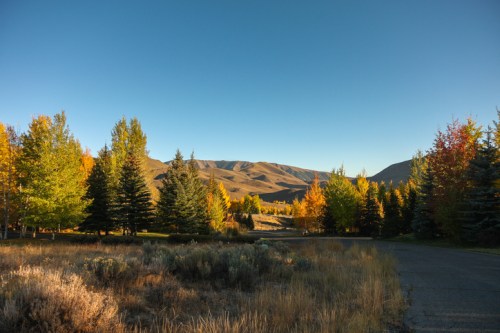 A scenic view of colorful autumn trees with mountains in the background under a clear blue sky.
