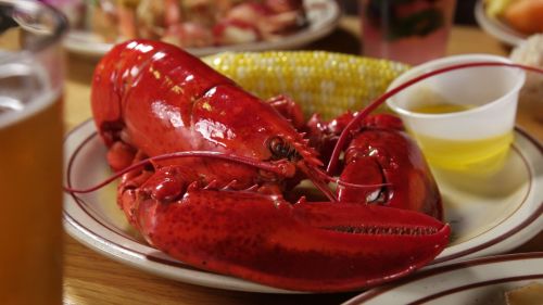 A vibrant red lobster on a plate, accompanied by corn and a small cup of melted butter, with a beer in the background.