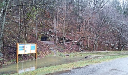 A wet, wooded area with a trail sign and a flooded path leading to a rocky hillside in a rainy setting.