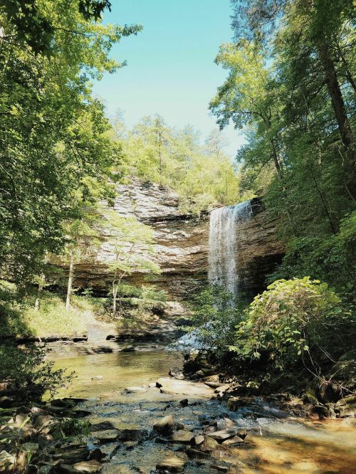 A serene waterfall cascades down rocky cliffs, surrounded by lush green trees and a calm stream below.