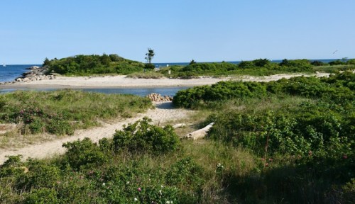 A serene beach scene with sandy paths, lush greenery, and calm waters under a clear blue sky.