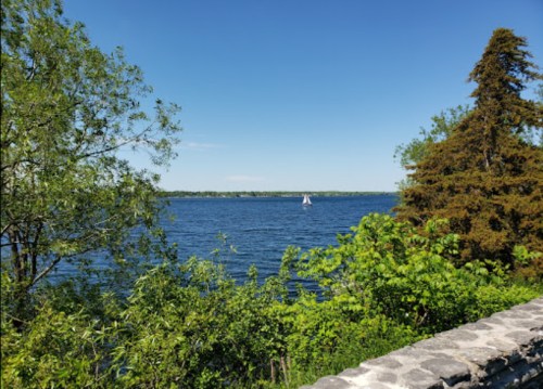A serene view of a lake surrounded by greenery, with a sailboat in the distance under a clear blue sky.