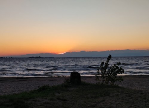 Sunset over a calm sea, with gentle waves and a silhouette of a small bush in the foreground.