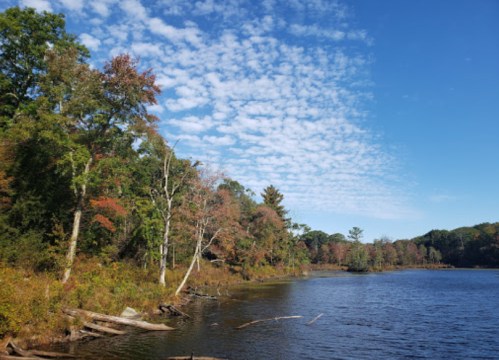 A serene lakeside view with colorful trees and a blue sky filled with clouds.