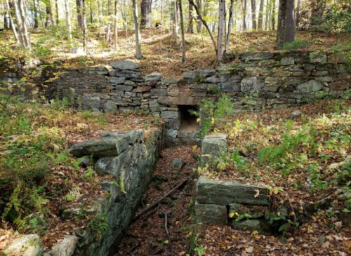 Ruins of a stone structure in a forest, surrounded by trees and fallen leaves, with a small opening in the wall.