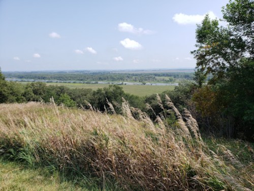 A scenic view of rolling hills and a river, with tall grass swaying in the foreground under a clear blue sky.