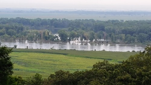 A scenic view of a river surrounded by lush greenery and fields, with misty weather in the background.