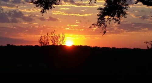 A vibrant sunset with orange and yellow hues, silhouetted trees in the foreground against a cloudy sky.