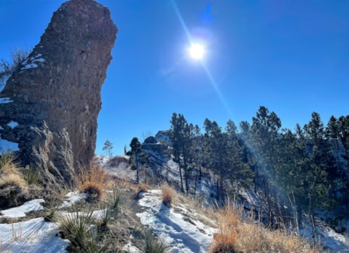 A rocky outcrop under a bright sun, surrounded by snow and pine trees on a clear blue sky day.