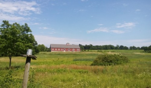 A red barn stands in a green field under a clear blue sky, surrounded by trees and open land.