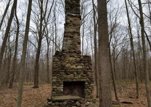 A tall stone chimney stands in a wooded area, surrounded by bare trees and fallen leaves.