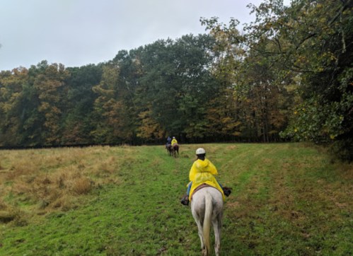 Two riders in yellow raincoats on horseback, walking through a grassy field with trees in the background.