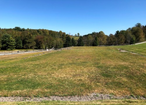 A wide, grassy field with a clear blue sky and trees in the background, bordered by a wooden fence.