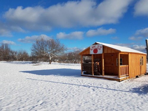 A wooden cabin with a sign reading "Apples" sits in a snowy field under a blue sky with fluffy clouds.