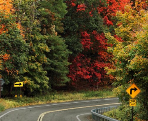 A winding road surrounded by vibrant autumn foliage in shades of red and green. Speed limit sign visible.