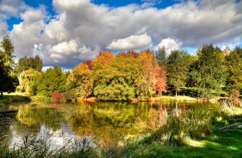 A serene pond surrounded by vibrant autumn trees and lush greenery under a partly cloudy sky.