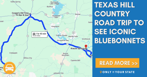Map showing a Texas Hill Country road trip route to see bluebonnets, highlighting Cooper's Old Time Pit Bar-B-Que and Krause Springs.