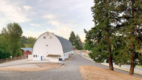 A white barn with a curved roof, surrounded by trees and a gravel path, under a clear sky.