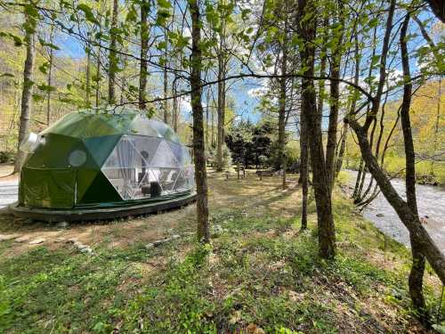 A geodesic dome tent nestled among trees by a river, surrounded by greenery and a clear blue sky.