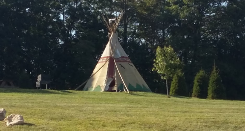 A traditional teepee stands in a grassy area, surrounded by trees and a few shrubs.