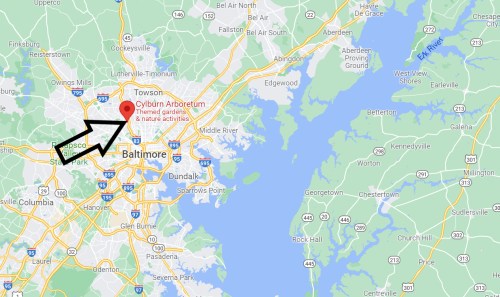 Map showing Baltimore, Maryland, with an arrow pointing to the Cylburn Arboretum location.