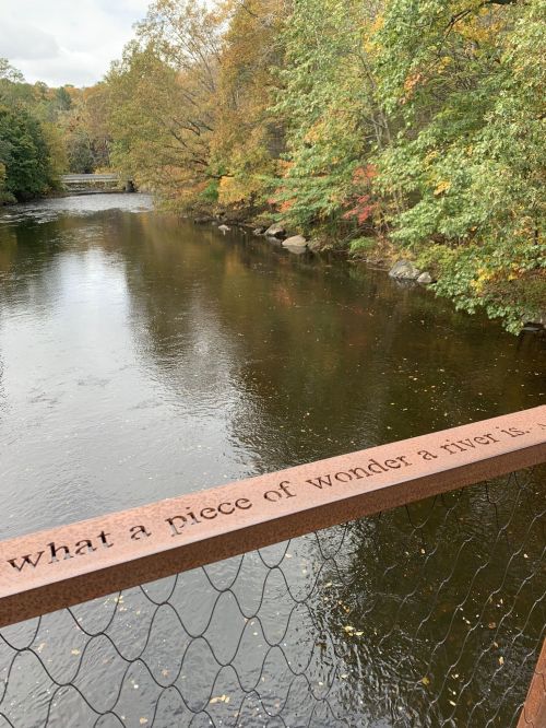 A serene river scene with autumn foliage and a bridge railing inscribed with "what a piece of wonder a river is."
