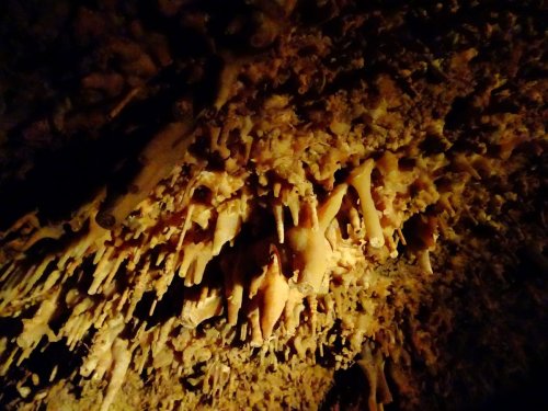 Stalactites and stalagmites in a dimly lit cave, showcasing intricate natural formations on the rocky ceiling.