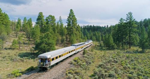 A train travels through a forested area with tall pine trees and open grassland under a cloudy sky.