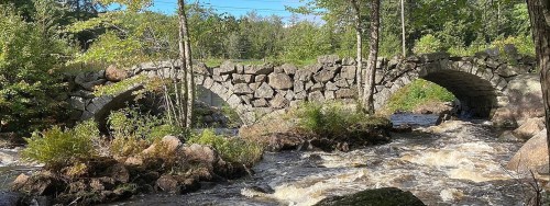 A stone arch bridge spans a rushing river, surrounded by lush greenery and trees.