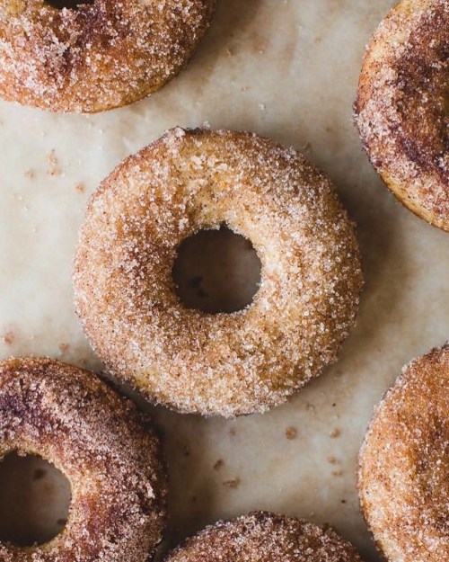 A close-up of cinnamon sugar-coated donuts arranged on parchment paper.