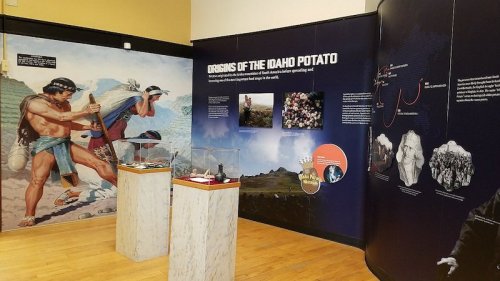 Exhibit on the origins of the Idaho potato, featuring displays and illustrations of historical cultivation practices.