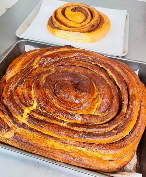 Two freshly baked cinnamon rolls on trays, one large and one smaller, with golden-brown swirls and a glossy finish.
