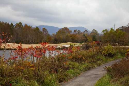 A scenic view of a path by a lake, surrounded by autumn foliage and distant mountains under a cloudy sky.