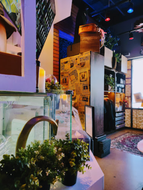 A cozy interior featuring plants, vintage decor, and shelves filled with various items in warm lighting.