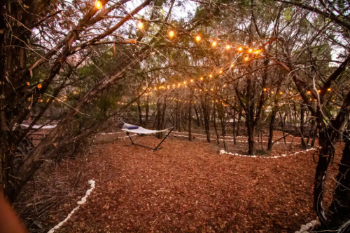 A serene outdoor space with string lights hanging between trees, a hammock, and a path lined with white stones.