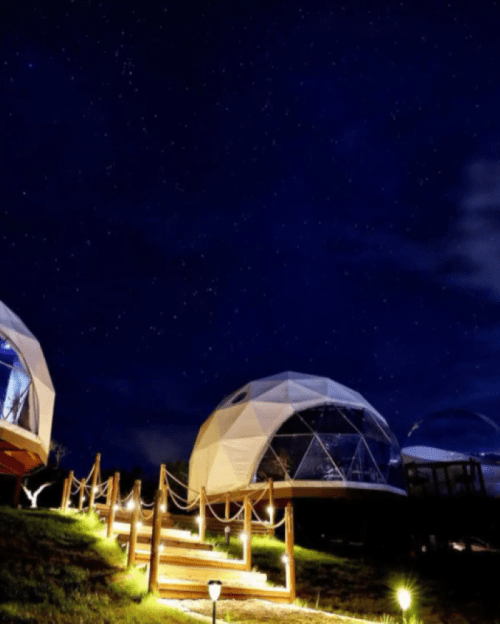 Starry night sky over geodesic domes, with a pathway illuminated by soft lights.