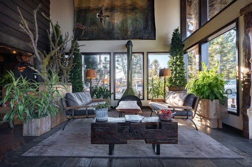 Cozy lobby with large windows, plants, comfortable seating, and a rustic wooden coffee table. Warm, inviting atmosphere.