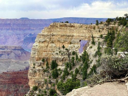 A rocky cliff with trees overlooks the Grand Canyon, showcasing layered rock formations and distant canyon views.