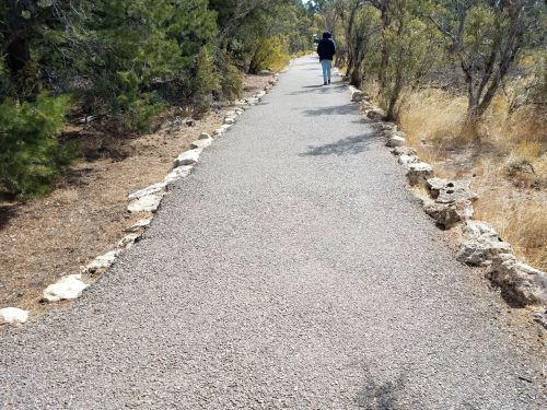 A person walking along a gravel path bordered by rocks, surrounded by trees and dry grass.
