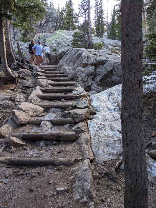A rocky trail with wooden steps surrounded by trees, leading through a forested area. Two hikers are visible.