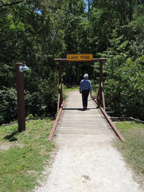 A person walks towards a wooden bridge marked "Lake Trail" surrounded by lush greenery.