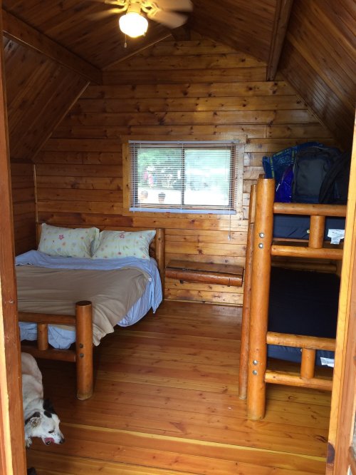 Cozy wooden cabin interior with a double bed, bunk bed, and a dog lying on the floor. Natural light from a window.