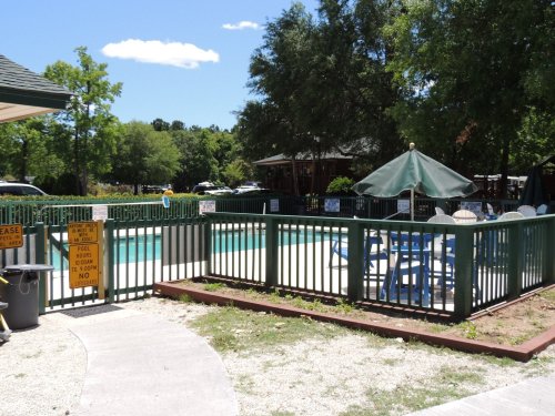 A fenced pool area with lounge chairs and umbrellas, surrounded by trees and a clear blue sky.