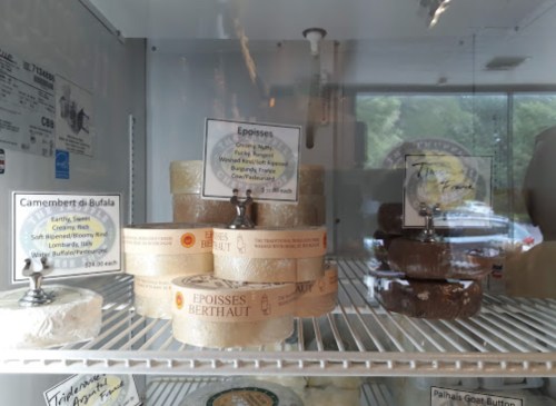 A display case filled with various cheese wheels, labeled with names and descriptions, showcasing different types of cheese.