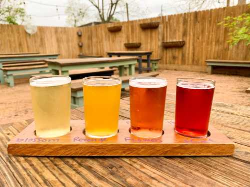 Four glasses of beer in a wooden flight, labeled Blossom, Revenge, Figmars, and Shine, on a rustic table outdoors.